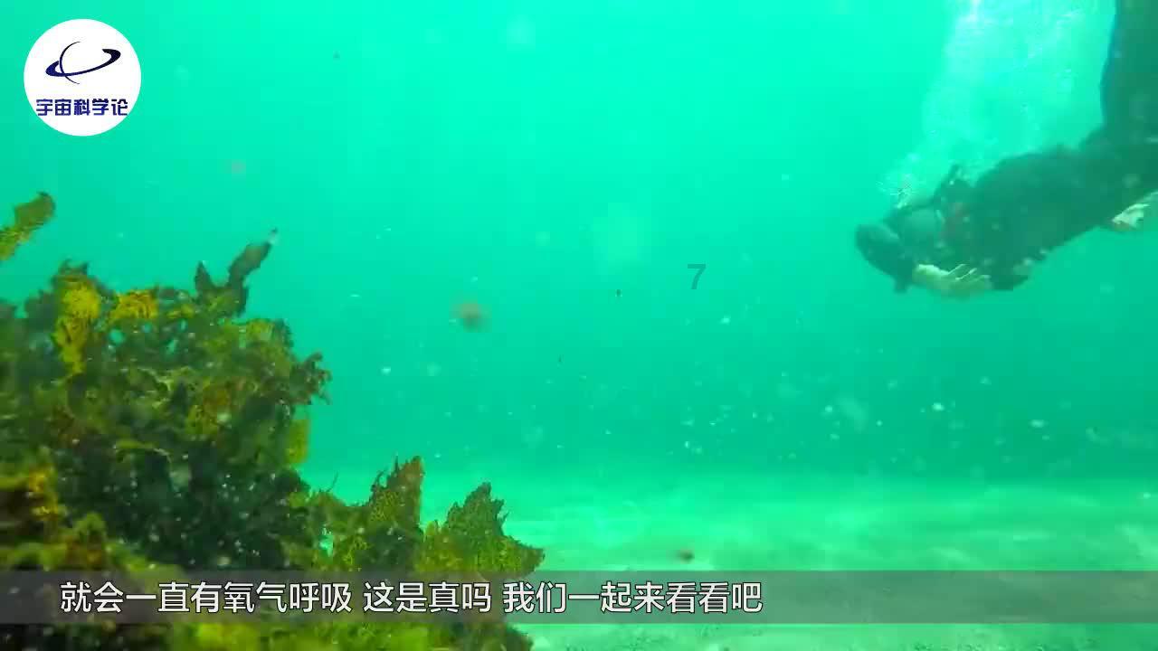 救援蒙克